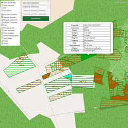 Cartographie forestire